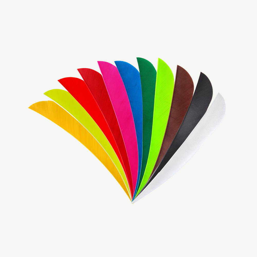 Feder RW Parabol 3 Zoll einfarbig