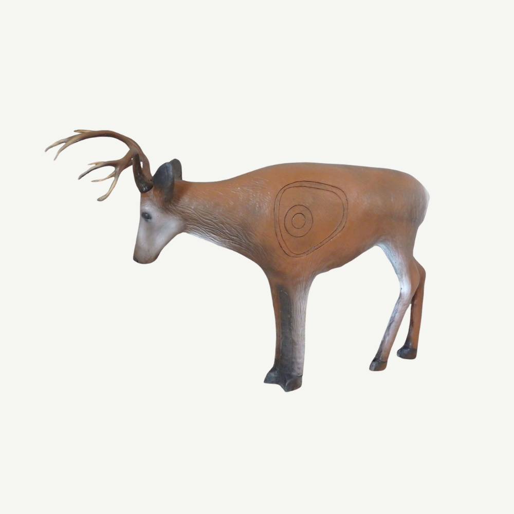 Leitold Junger Hirsch kämpfend