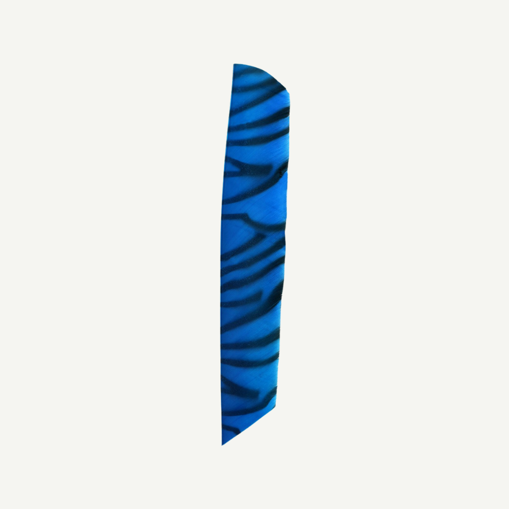 18202 Feder RW Volle Länge zebra blau schwarz