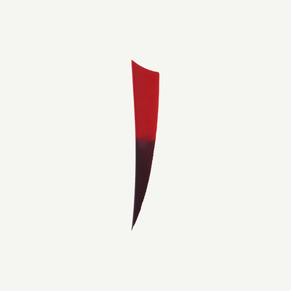 18267 Feder RW Shield 4 Zoll Bicolor Rot | Dunkelrot