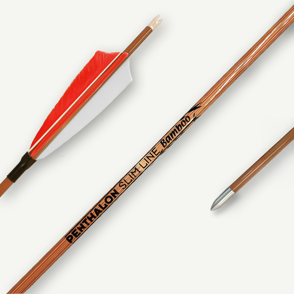 Penthalon Carbonpfeile 40818 Slim Line Bamboo Naturfedern 600