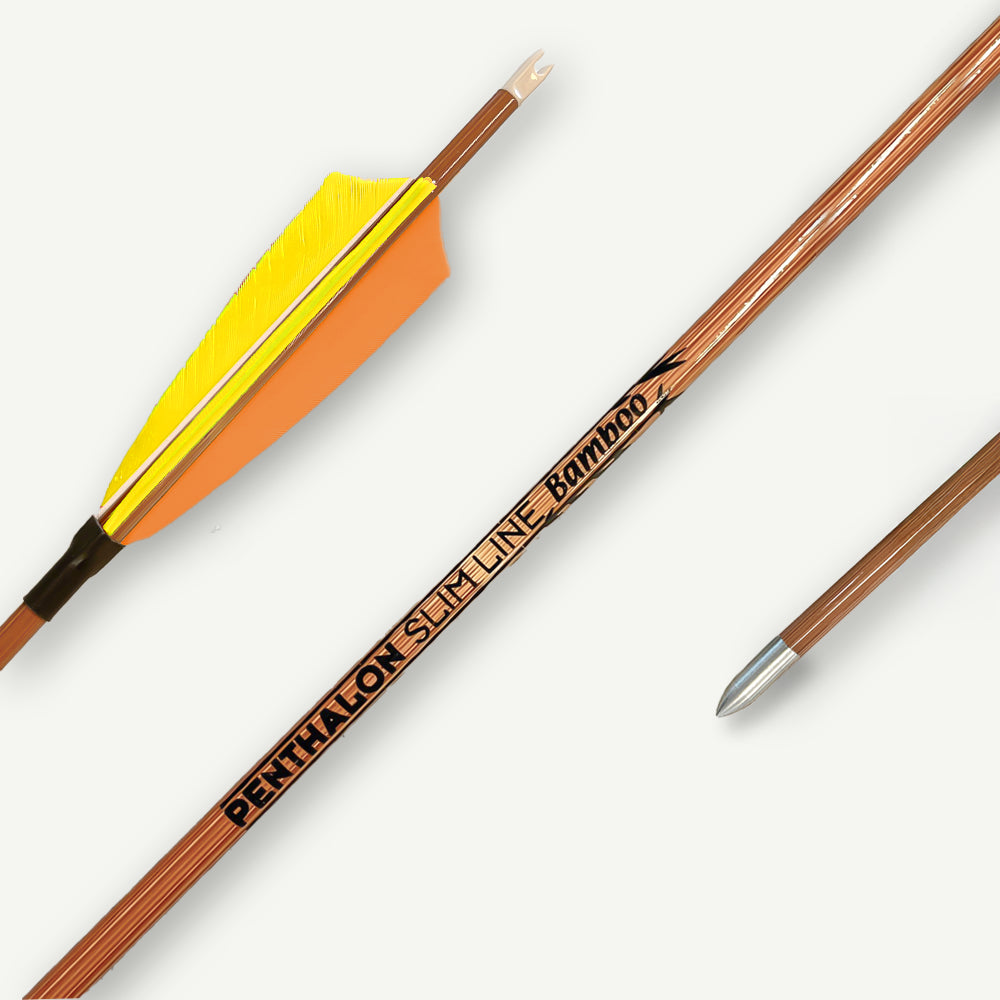 Penthalon Carbonpfeile 40818 Slim Line Bamboo Naturfedern 700