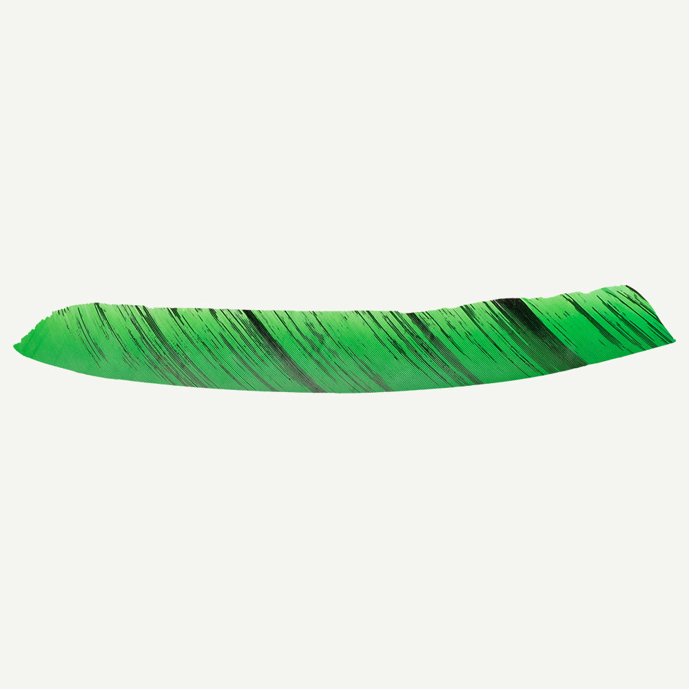 101177 Feder RW Volle Länge camo grün schwarz