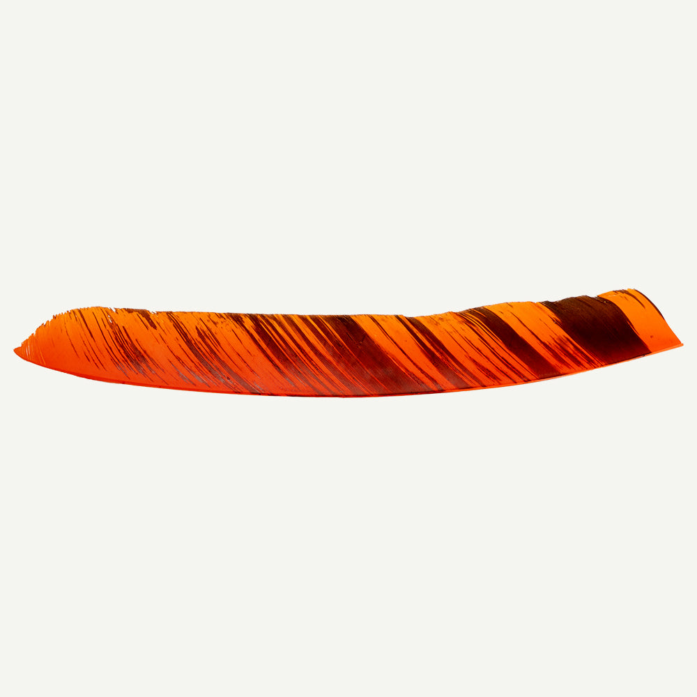 101177 Feder RW Volle Länge camo orange schwarz