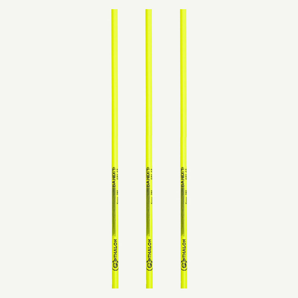 100929 Penthalon Carbonschäfte Bandit Neon gelb 1000