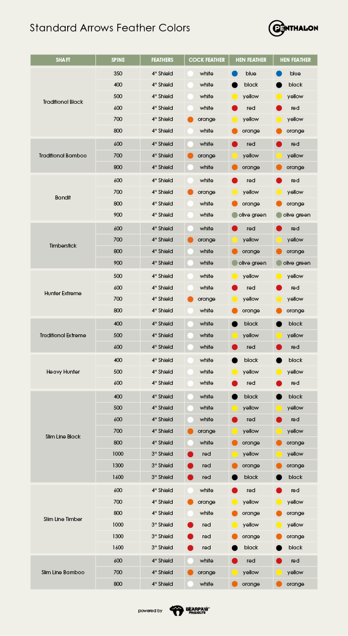 Penthalon Performance A/C/C Aluminium-Carbon Schaft (12 St.)