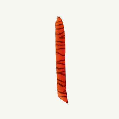 Feder RW Volle Länge zebra orange schwarz