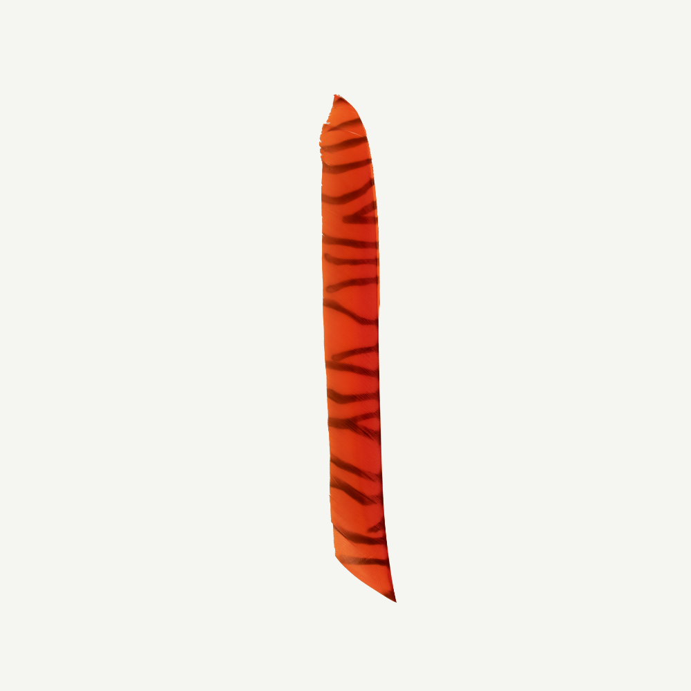 18202 Feder RW Volle Länge zebra orange schwarz
