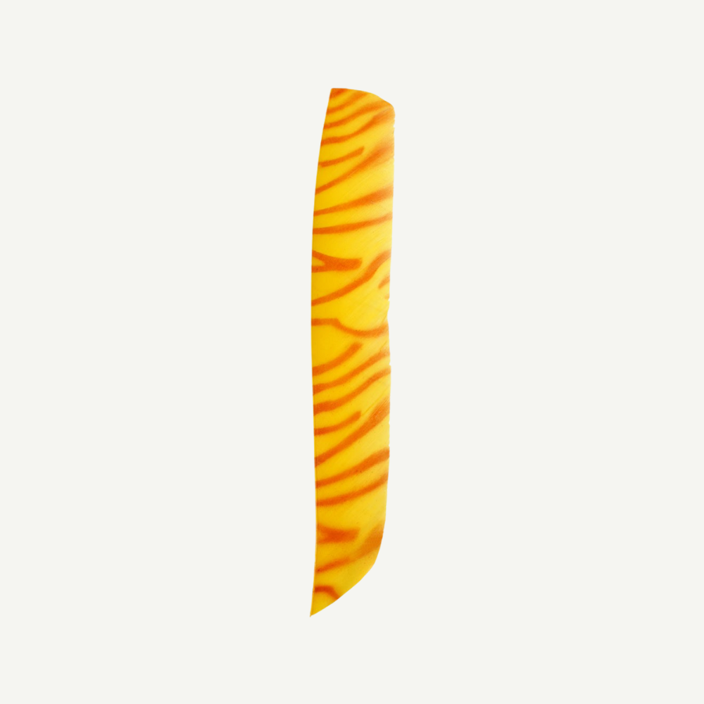 18202 Feder RW Volle Länge zebra orange gelb
