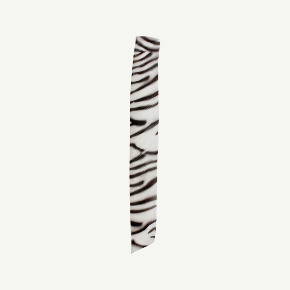 18202 Feder RW Volle Länge zebra weiß schwarz
