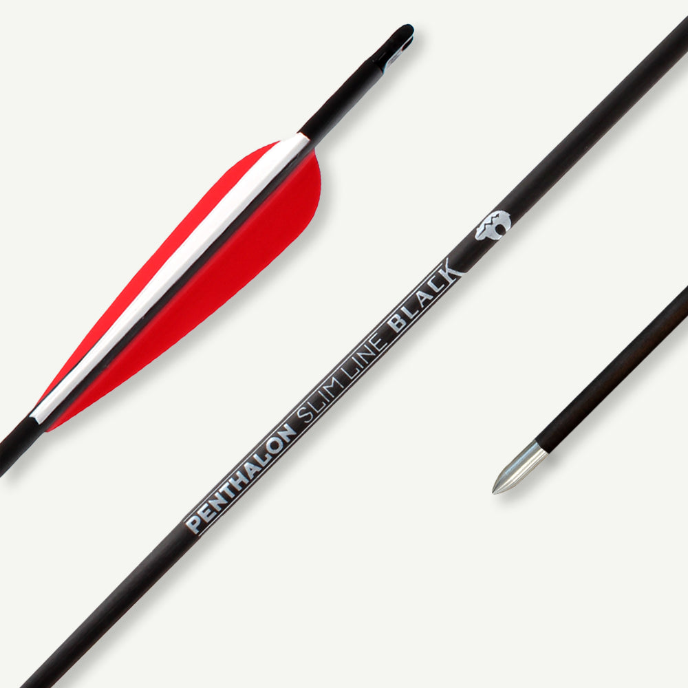 Penthalon Carbonpfeile Slim Line Black Fletches 600