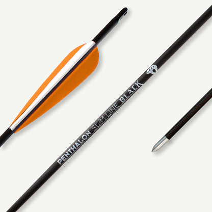 Penthalon Carbonpfeile Slim Line Black Fletches 800