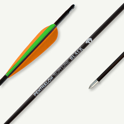 Penthalon Carbonpfeile Slim Line Black Fletches 1000