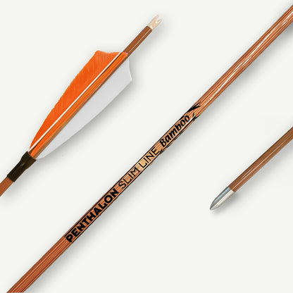Penthalon Carbonpfeile Slim Line Bamboo Naturfedern 800