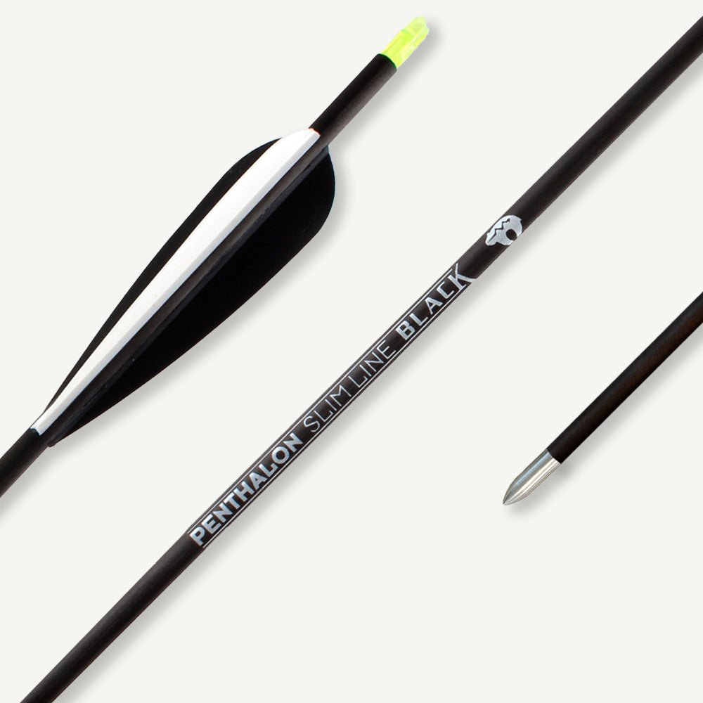 Penthalon Carbonpfeile Slim Line Black Fletches