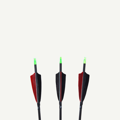 Penthalon Carbonpfeile 40812 Traditional Black Naturfedern
