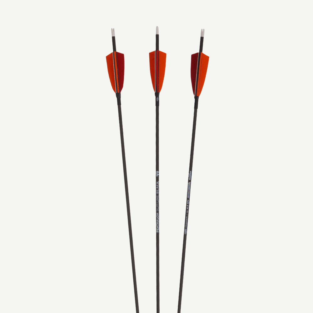 Penthalon Carbonpfeile 40820 Slim Line Black Naturfedern 1300