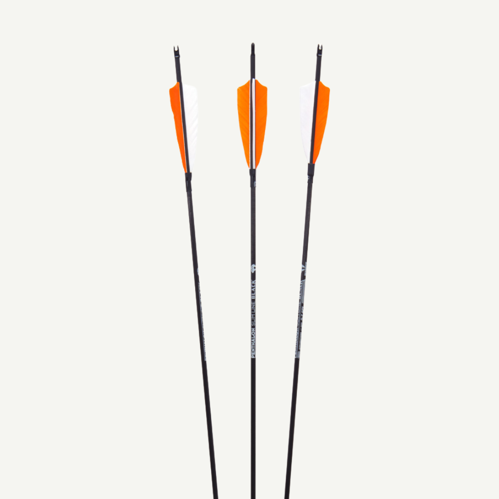 Penthalon Carbonpfeile 40820 Slim Line Black Naturfedern 1600