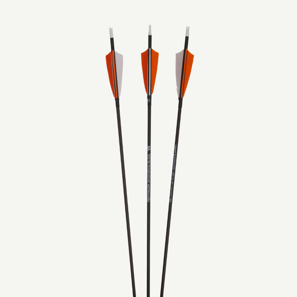 Penthalon Carbonpfeile 40820 Slim Line Black Naturfedern 800