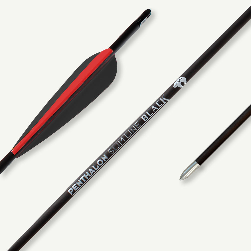 Penthalon Carbonpfeile 40821 Slim Line Black Fletches 1600