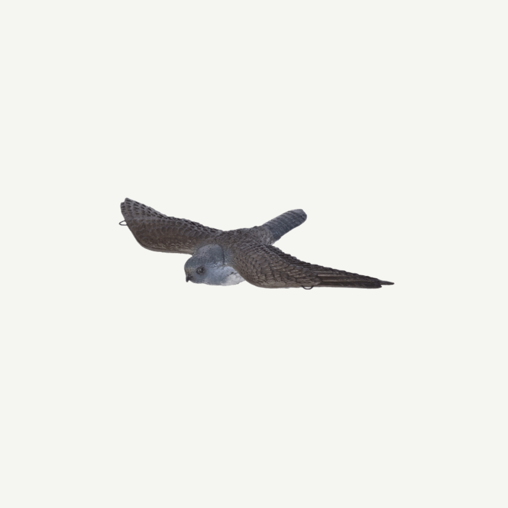60221 3D Tier Franzbogen Fliegender Falke