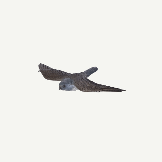 60221 3D Tier Franzbogen Fliegender Falke