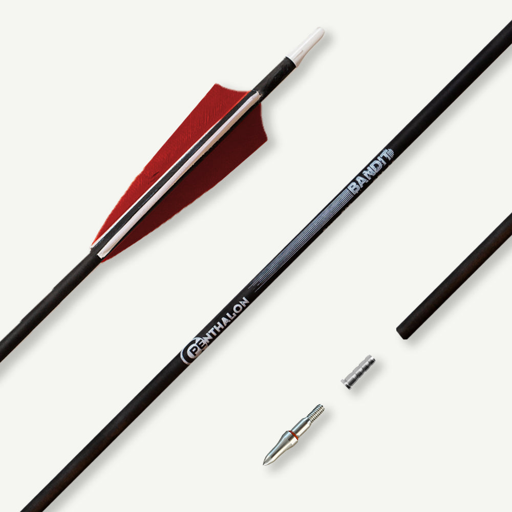 Penthalon Carbonpfeile 100516 Bandit Naturfedern 600