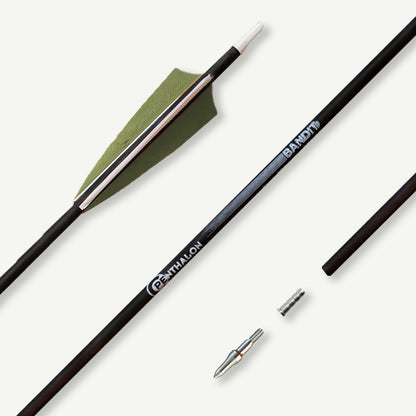 Penthalon Carbonpfeile 100516 Bandit Naturfedern 900