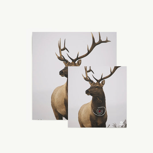 Tierbild Zielscheibenauflage 60 cm Hirsch