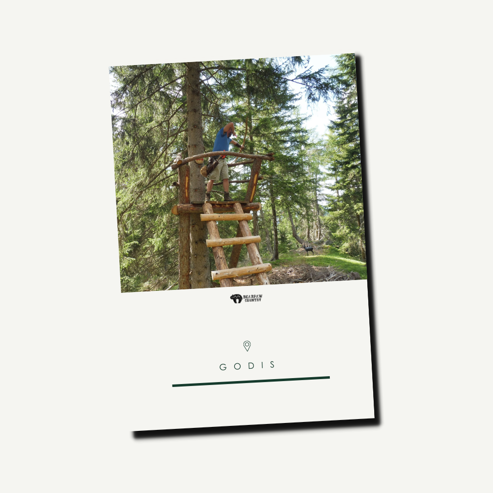 Tageskarte Erwachsene | Godis