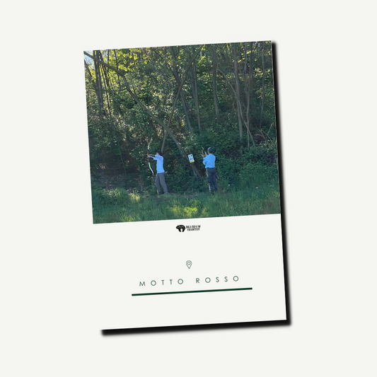 Day ticket adults | Motto Rosso