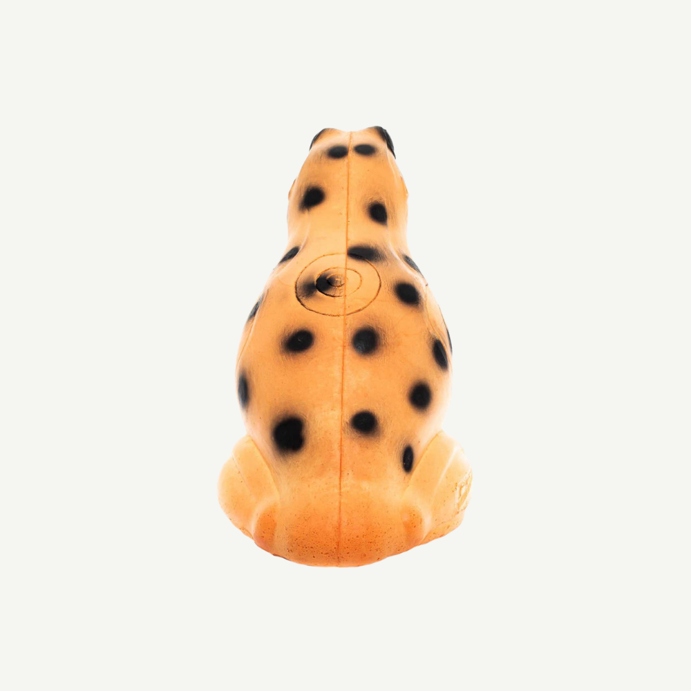 100488 IBB 3D Tier Pfeilgift Frosch
