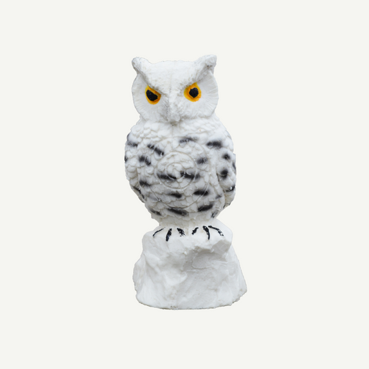 100472 IBB 3D Tier Schneekauz