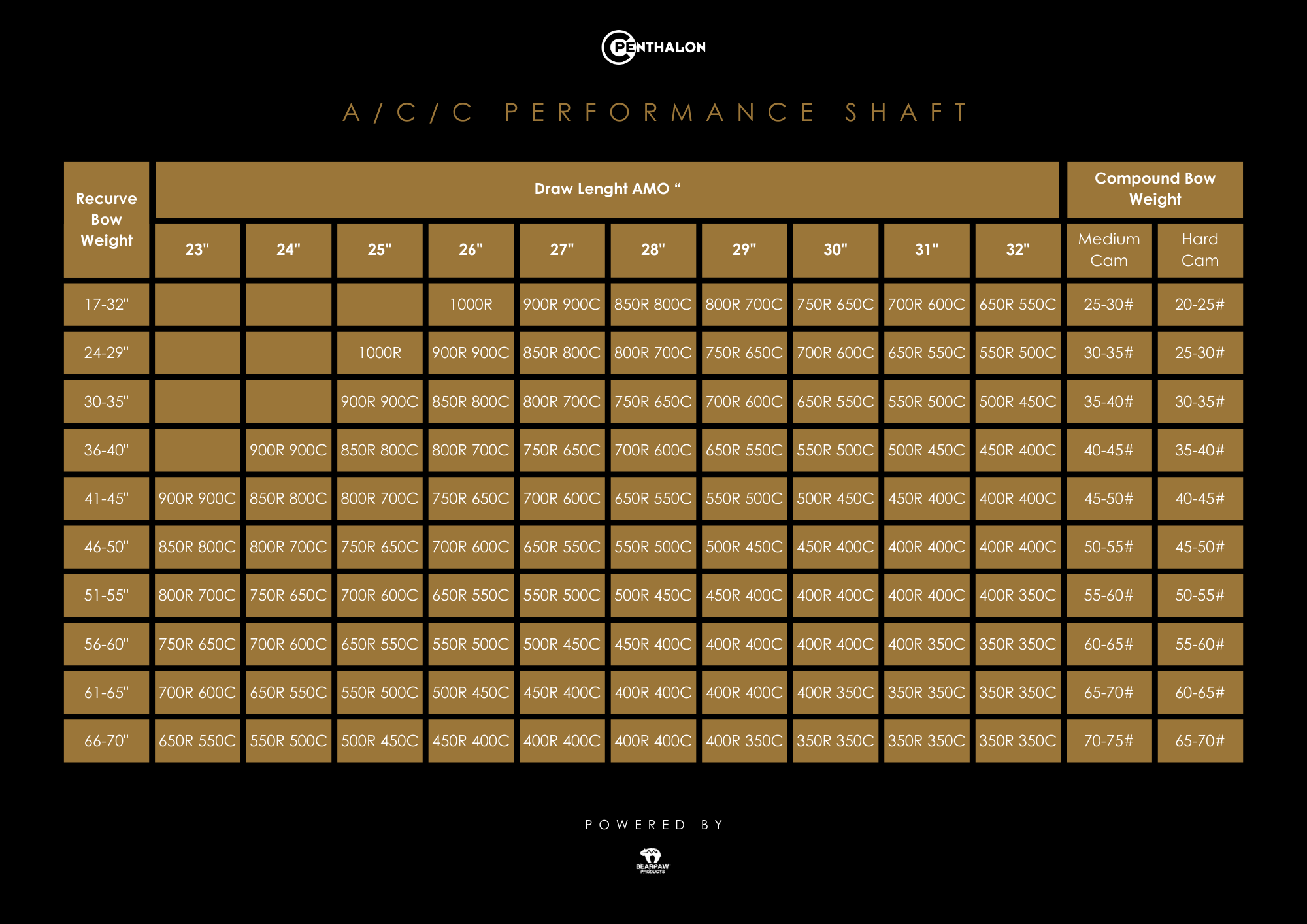 100406 Penthalon Performance A/C/C Aluminium-Carbon Schaft | 750 (12 St.)
